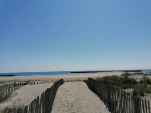 10 bonnes raisons de visiter montpellier